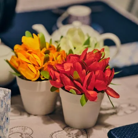 Asariel Splendido Vista Mare E Centro Storico Brindisi